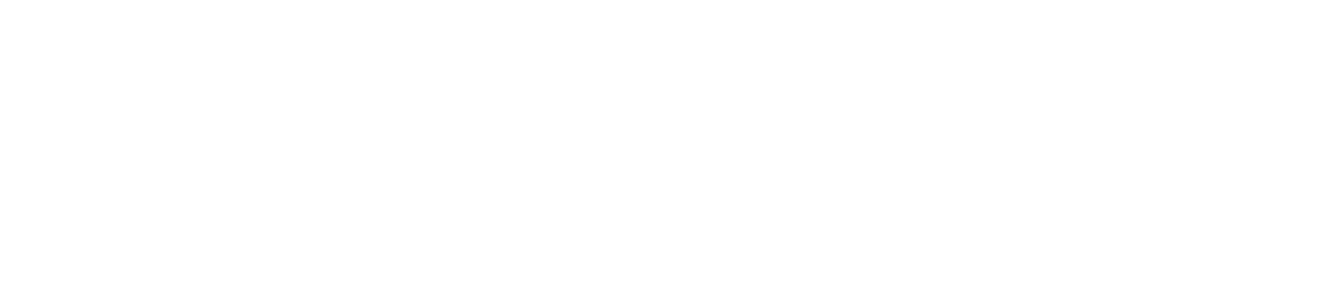 IKON ICT